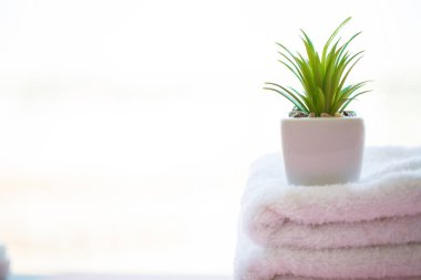 Güzel Spa kompozisyon beyaz havlu üzerinde pembe tablo.