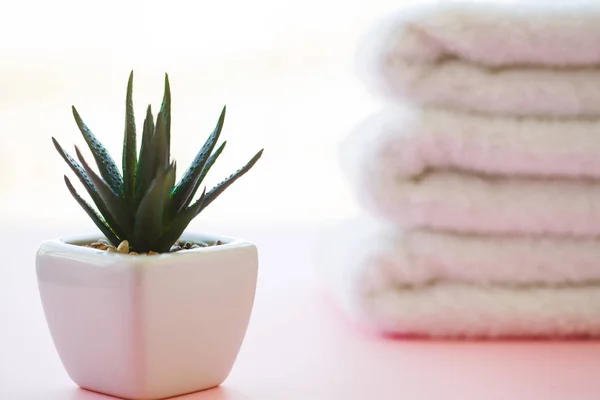 Vackra Spa sammansättning vita handdukar på rosa bord. — Stockfoto