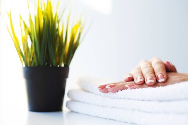 Çivilerin umurunda. Güzel kadınlar manikürlü manikürlü manikürlü, güzellik salonunda.