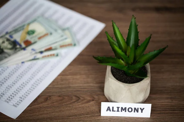 Alimony payment concept. Schedule of payment for childcare — ストック写真