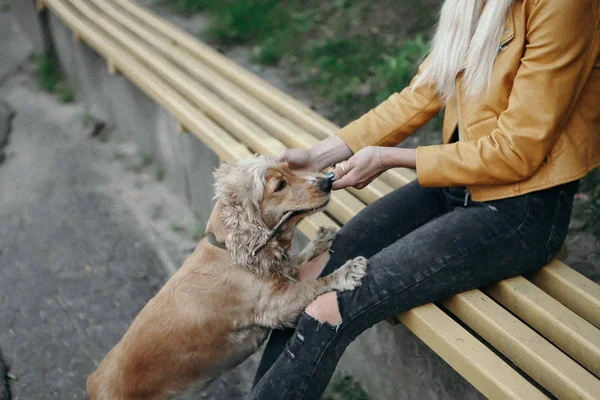 Gürültü ve klasik tarz. Köpekli genç kız parkta yürüyor ve güzel yaz gününün tadını çıkarıyor. — Stok fotoğraf