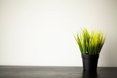 Spa. Modern banyopencere çıkıntısı üzerinde sulu bitki