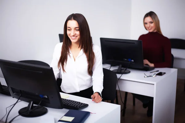 Two female colleagues in office working together. — Stock Photo, Image