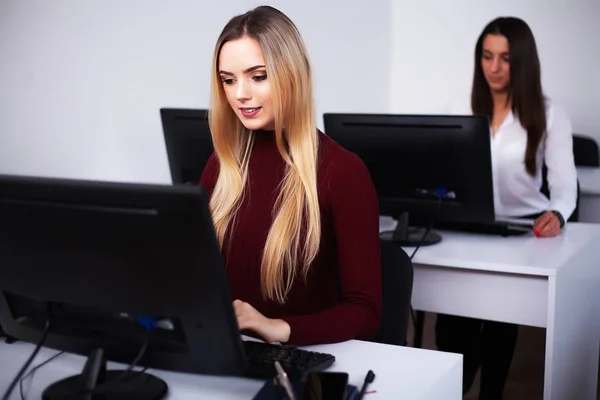 Zwei Kolleginnen im Büro arbeiten zusammen. — Stockfoto