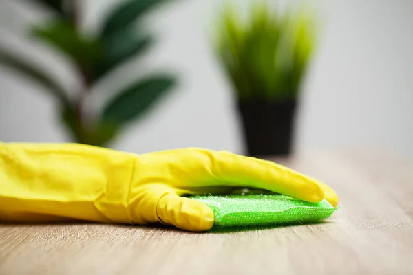 Cercanía empresa de limpieza trabajador mano celebración esponja —  Fotos de Stock
