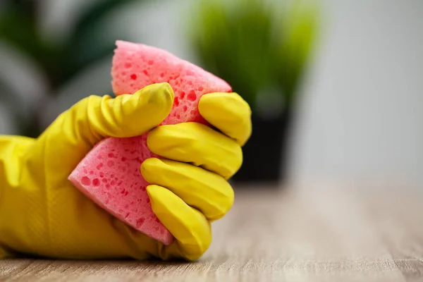 Close Up cleaning company worker hand holding sponge