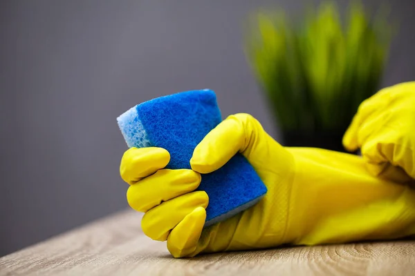 Temizlik şirketi çalışanının elini tutan süngeri kapatın. — Stok fotoğraf