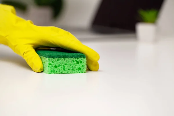 Close Up cleaning company worker hand holding sponge