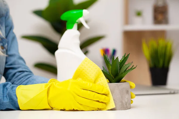 Fechar a mão do trabalhador limpando o pó no escritório — Fotografia de Stock