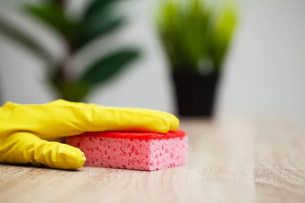 Close Up cleaning company worker hand holding sponge