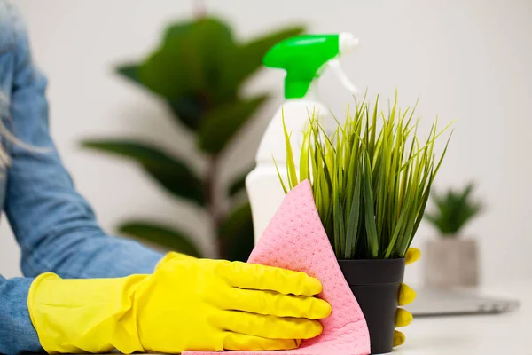 Young woman in gloves cleaning office table — Stock Photo, Image