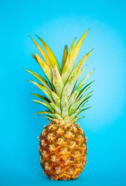 Mavi arka planda taze olgun ananas.