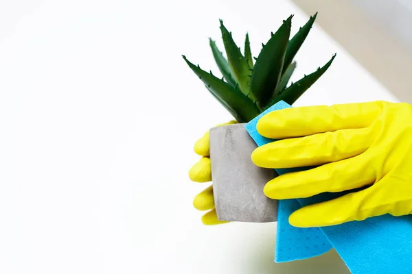 Close up of worker hand wiping dust in office in yellow gloves — Stock Photo, Image