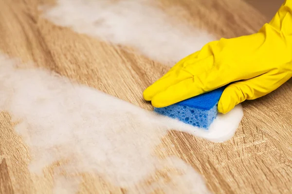 Closeup of a cleaning company worker cleans office