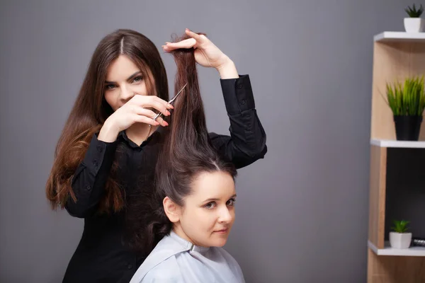 Professional hairdresser does hair care procedures at home — Stock Photo, Image