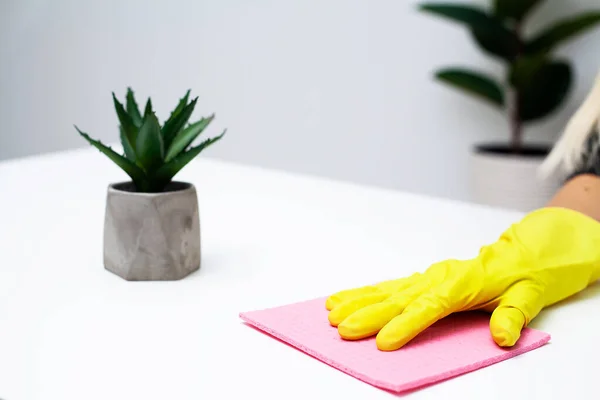 Closeup of cleaning company worker cleans office. — Stock Photo, Image