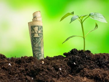 Yeni bir fikir ve finansal büyüme yaratma kavramı