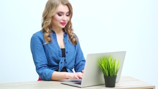 Woman working on laptop in the companys office — Stock Video