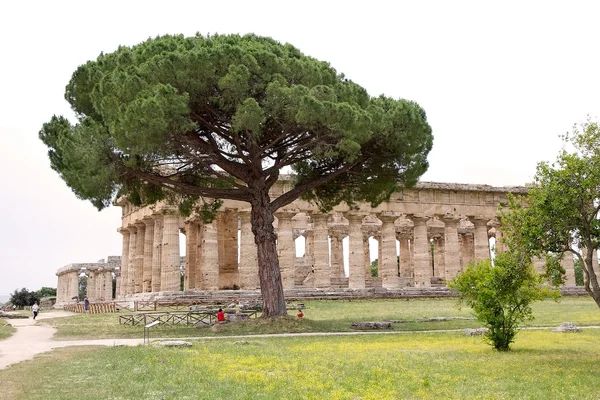 Ruiny Paestum, Włochy — Zdjęcie stockowe