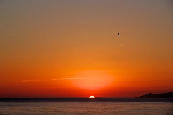 Sonnenuntergang auf See. strahlende Sonne am Himmel — Stockfoto