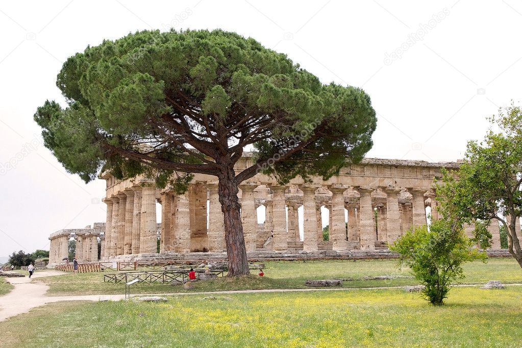 Paestum ruins, Italy