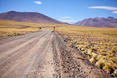 Atacama Çölü, Şili