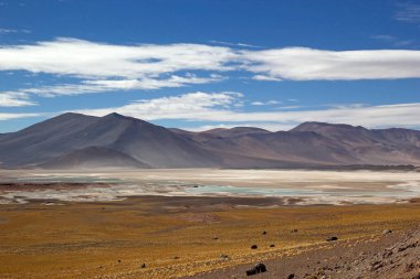 Atacama Çölü manzarası, Şili