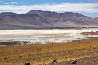 Atacama Çölü manzarası, Şili