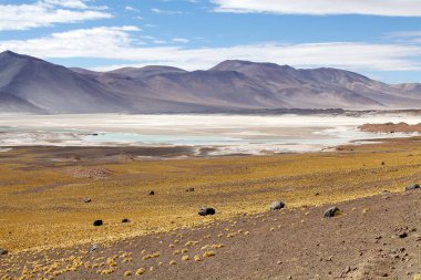 Atacama Çölü manzarası, Şili