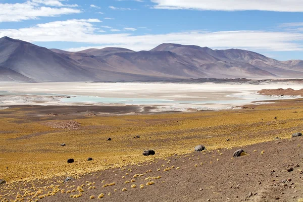 Atacama desert landscape, Chile — Stock Photo, Image