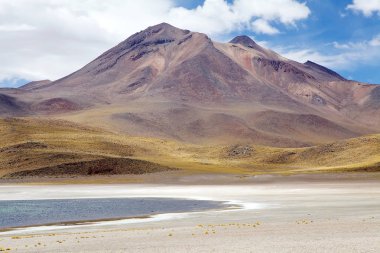 Miscanti Lagoon, Şili