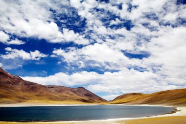Miniques lagün Şili Atacama Çölü'nde
