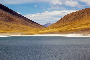 Miniques lagün Şili Atacama Çölü'nde