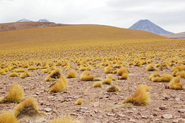 Atacama Pouštní krajina, Chile — Stock fotografie