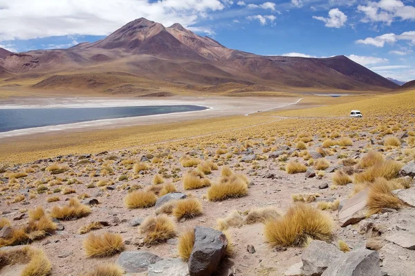 Lagune von Miscante, Chili — Stockfoto