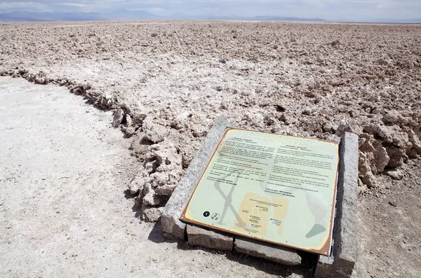 Chaxa Lagoon, itt a Salar de Atacama, Chile — Stock Fotó