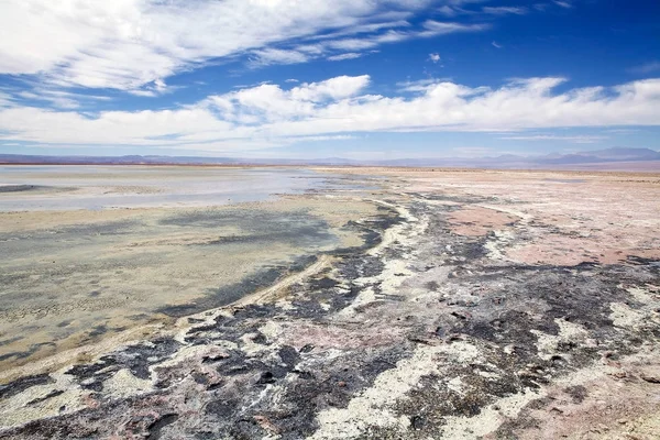 Chaxa Lagoon in the Salar de Atacama, Chile — Stock Photo, Image