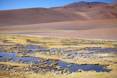 Los Flamencos National Reserve, Chile