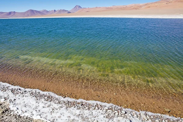 Los Flamencos National Reserve, Chile — Φωτογραφία Αρχείου