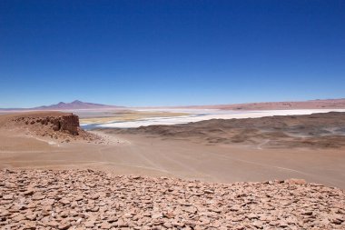 Salar Tara, Şili