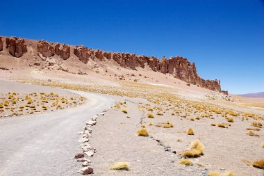 Tara, Şili salar yakın manzara