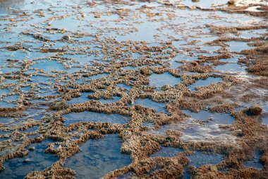 El Tatio geysers, Şili