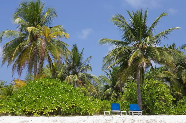 Tropical Beach Malediwy — Zdjęcie stockowe