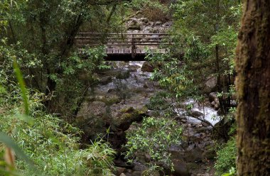 Vicente Perez Rosales Milli Parkı, Şili