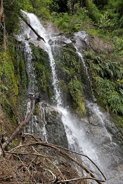 Vodopád na Vicente Perez Rosales národní Park, Chile — Stock fotografie