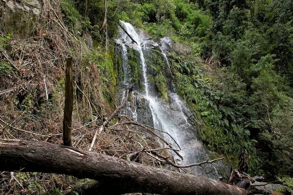瀑布在比森特 · 佩雷斯 · 罗萨莱斯国家公园，智利 — 图库照片