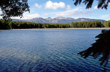 Coyhaique National Reserve, Şili