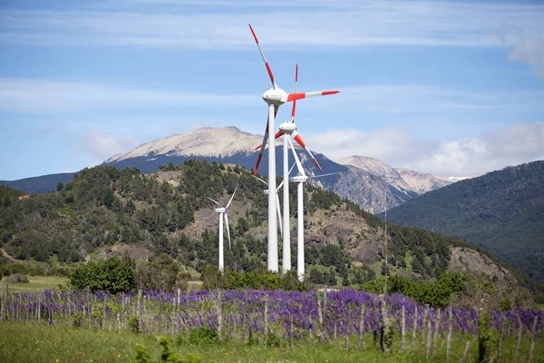 Wind farm at Coyhaique, Chile — Stock Photo, Image