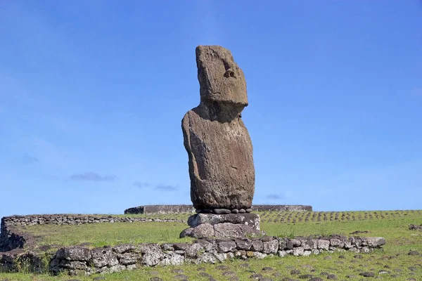 Paskalya Adası, Şili