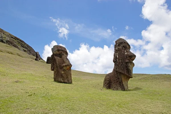 Paskalya Adası, Şili